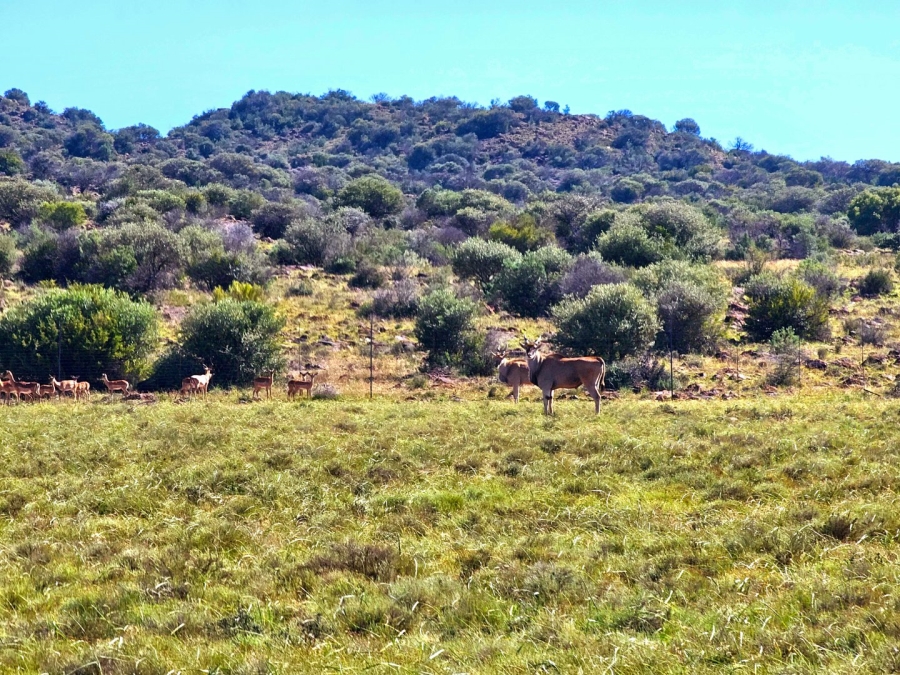 4 Bedroom Property for Sale in Bloemfontein Rural Free State